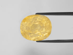 8800805-oval-lustrous-yellow-grs-burma-natural-yellow-sapphire-36.15-ct