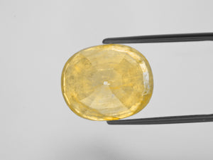 8800805-oval-lustrous-yellow-grs-burma-natural-yellow-sapphire-36.15-ct