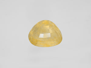 8800805-oval-lustrous-yellow-grs-burma-natural-yellow-sapphire-36.15-ct