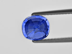 8801879-cushion-fiery-rich-cornflower-blue-gia-kashmir-natural-blue-sapphire-5.90-ct