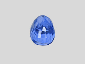 8801348-oval-fiery-rich-cornflower-blue-gia-grs-sri-lanka-natural-blue-sapphire-4.17-ct