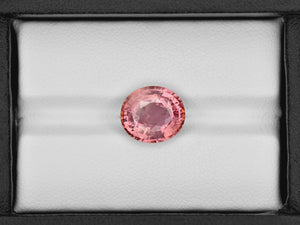 8801669-oval-pinkish-orange-aigs-sri-lanka-natural-padparadscha-5.03-ct