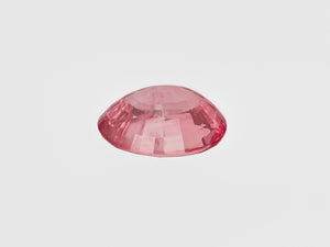 8801669-oval-pinkish-orange-aigs-sri-lanka-natural-padparadscha-5.03-ct