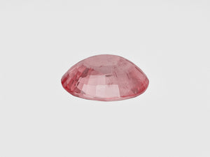 8801669-oval-pinkish-orange-aigs-sri-lanka-natural-padparadscha-5.03-ct