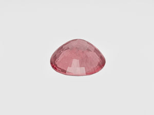 8801669-oval-pinkish-orange-aigs-sri-lanka-natural-padparadscha-5.03-ct