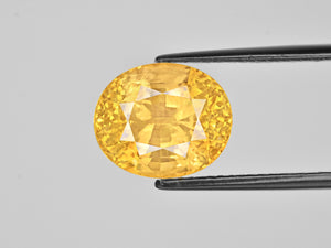 8802072-oval-lustrous-intense-yellow-grs-sri-lanka-natural-yellow-sapphire-12.12-ct