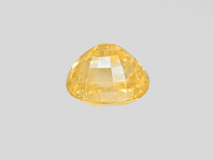 8802072-oval-lustrous-intense-yellow-grs-sri-lanka-natural-yellow-sapphire-12.12-ct