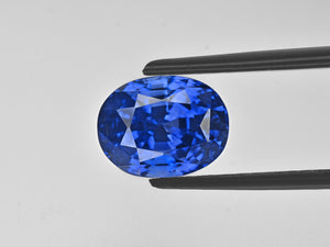 8801890-oval-lively-royal-blue-gia-kashmir-natural-blue-sapphire-5.23-ct