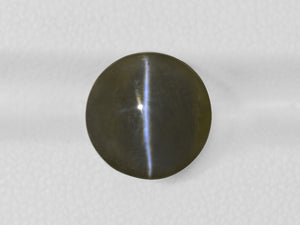 8802534-cabochon-greenish-brownish-black-igi-india-natural-chrysoberyl-cat's-eye-10.16-ct