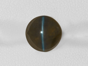 8802537-cabochon-dark-brown-igi-india-natural-chrysoberyl-cat's-eye-7.69-ct