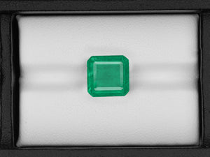 8802915-octagonal-lively-intense-green-igi-zambia-natural-emerald-5.21-ct