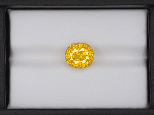 8803116-oval-fiery-vivid-golden-yellow-gia-sri-lanka-natural-yellow-sapphire-5.94-ct